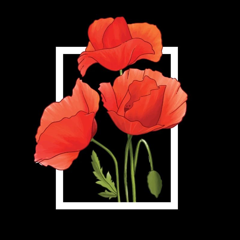 Klatschmohn Mohnblumen Aquarell handgemalt