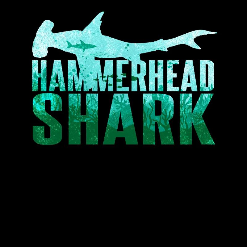 Requin-marteau Requin Requin Requin