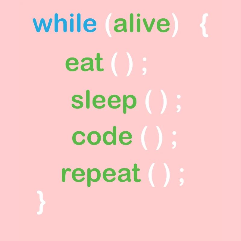 Développeur de logiciels de codage Python
