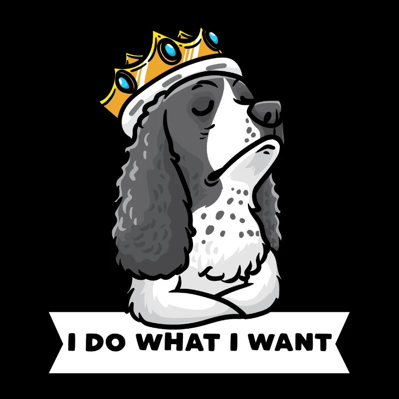 Deutsch Springer Spaniel Dog