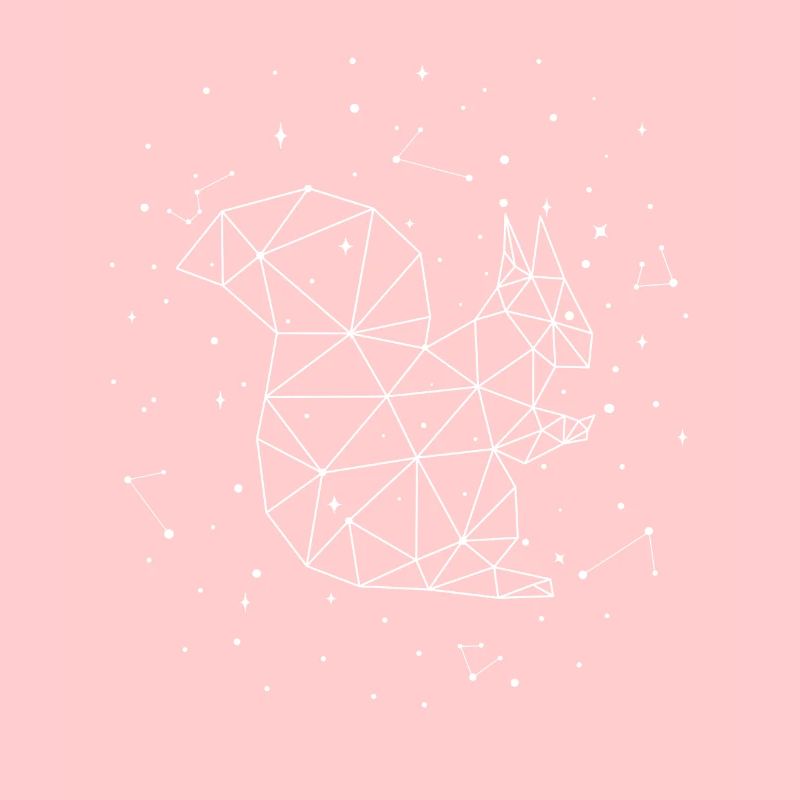 Sternbild Squirrel Constellation Squirrel