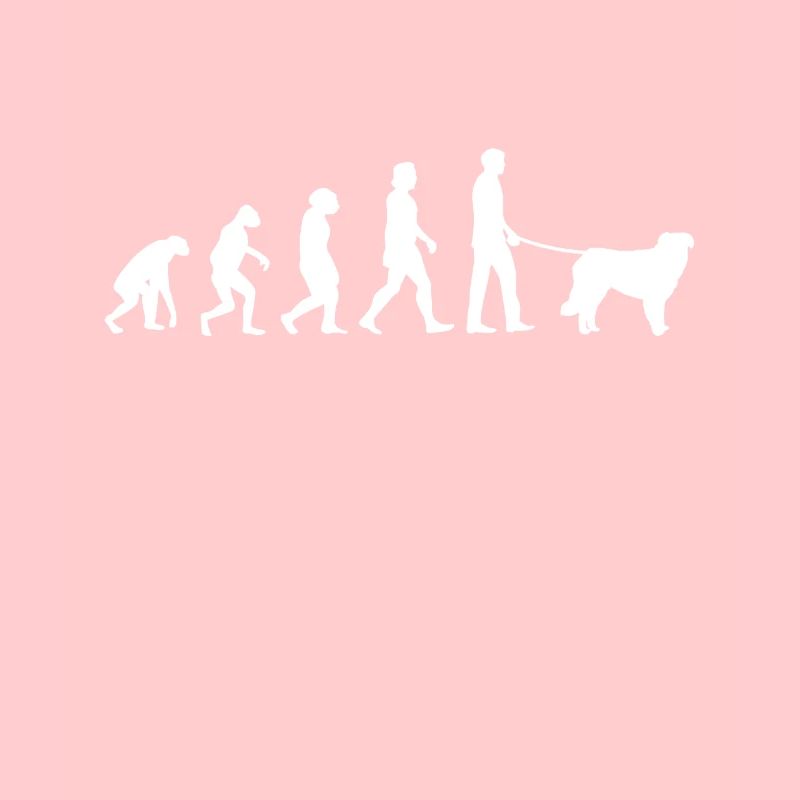 Évolution de Kuvasz