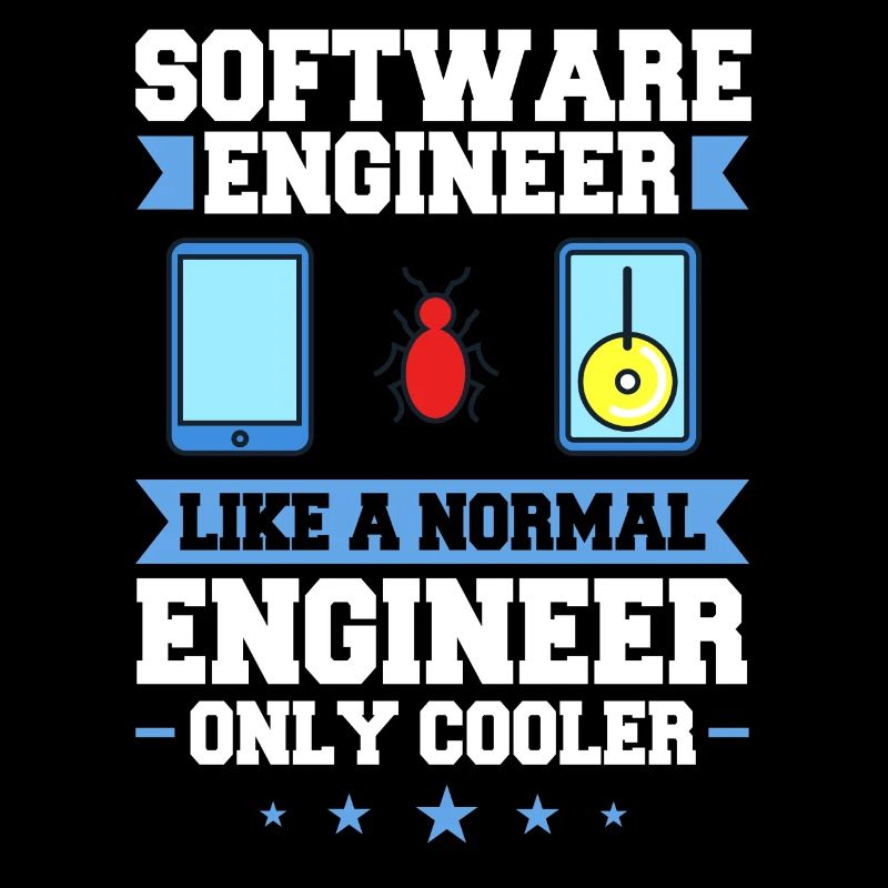 Software Engineering Softwaretechnik Ingenieur