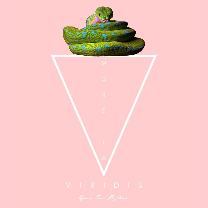 Green Tree Python Modern Geometric