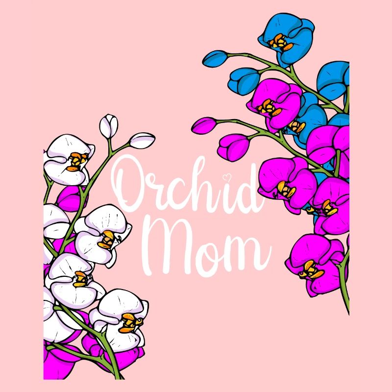 Orchidee Muttertag Geschenk Floristin Orchidee