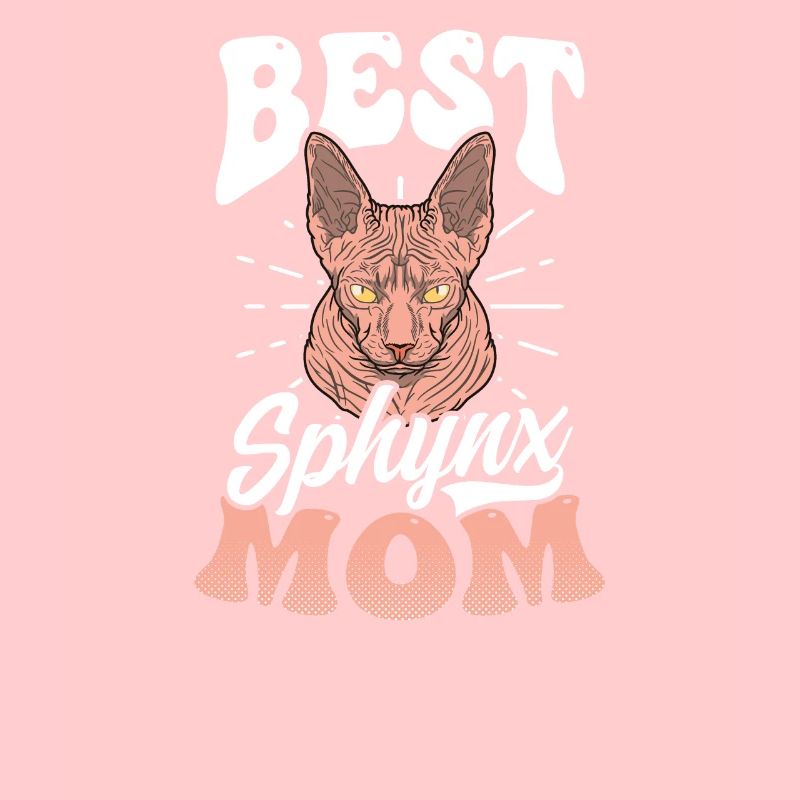 Sphynx Chat Meilleur Sphynx Maman