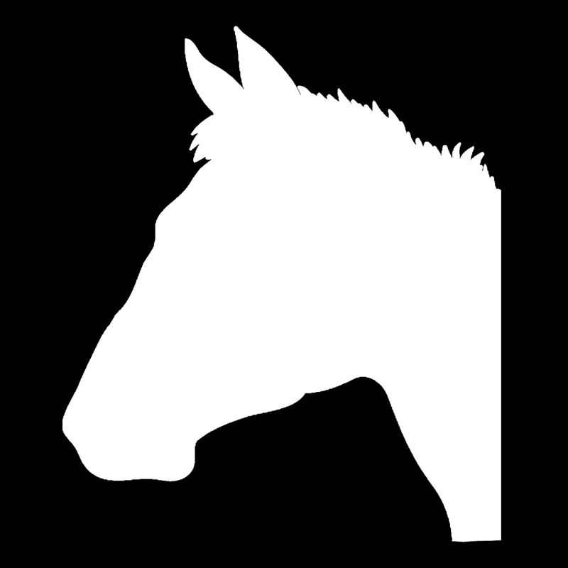 tête de cheval