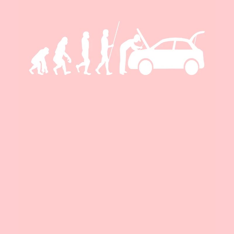 Auto mechanic Evolution