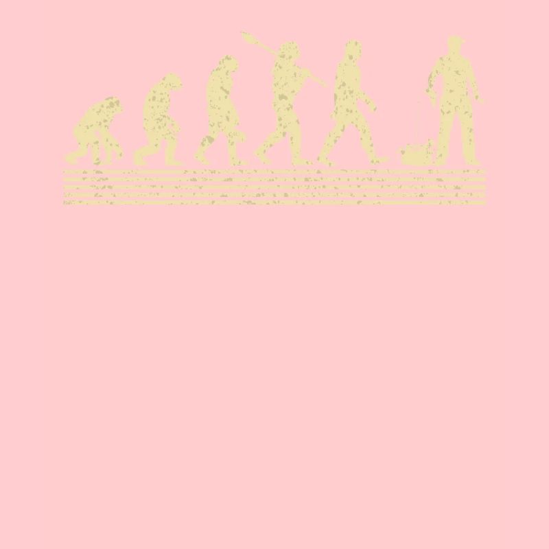 Évolution mécanique