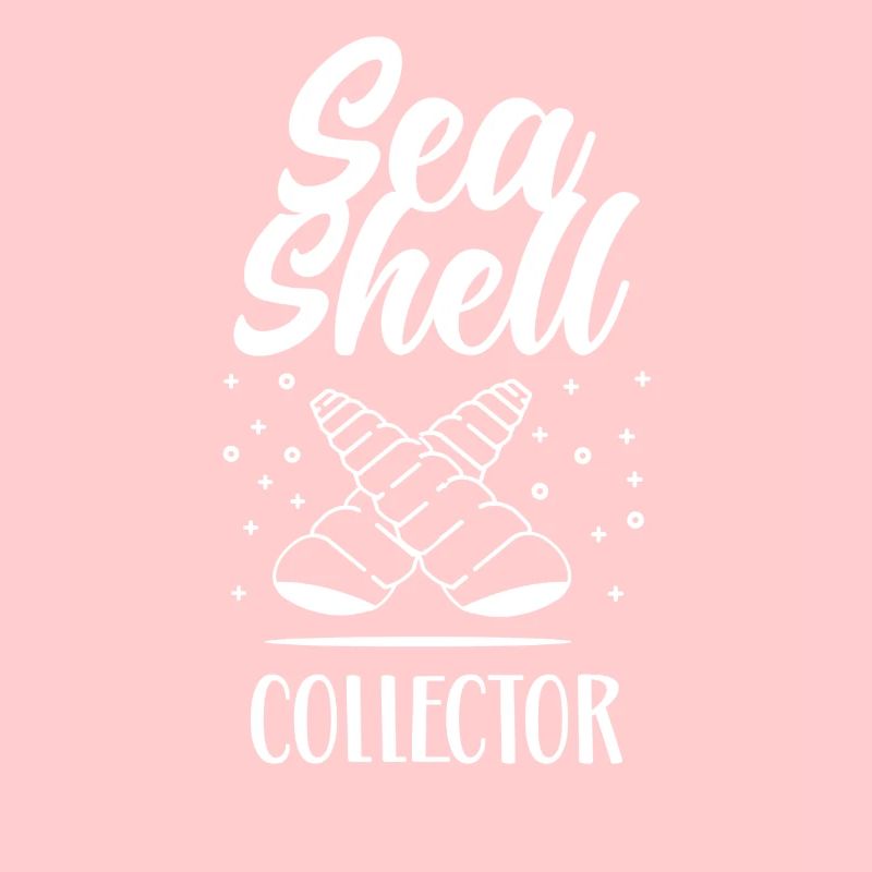 Shell Collector Shell Collector Collect shells
