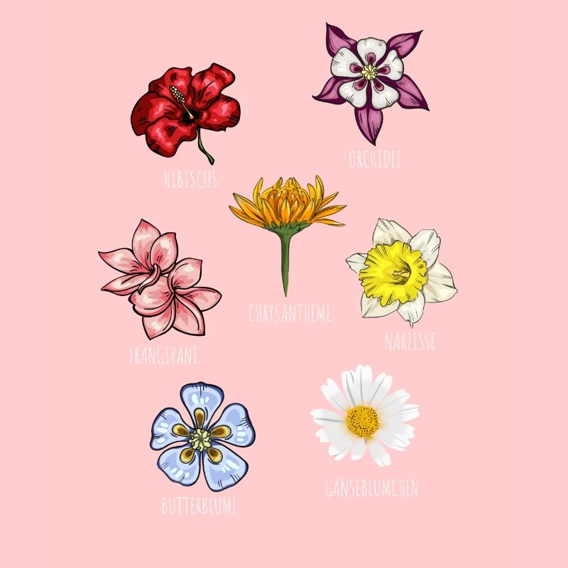 Espèces de fleurs Fleurs