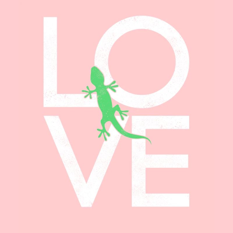Lizard