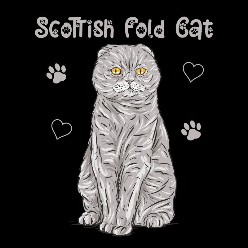 Scottish Folding Ear Cat Scottish Fold Gift