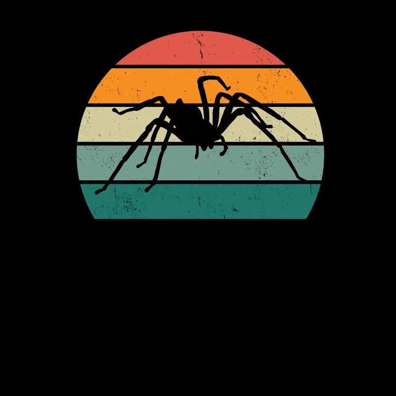Spiders Spider web web arachnid legs 8 spider