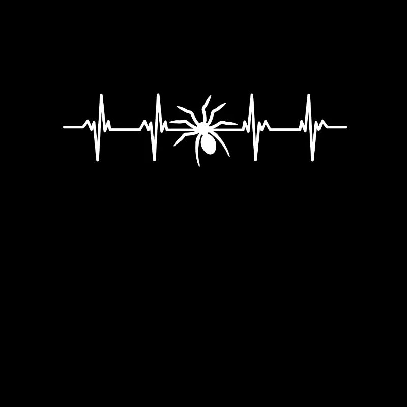 Spiders Spider web web arachnid legs 8 spider