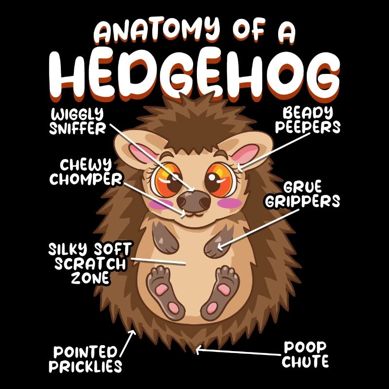 Anatomie eines lustigen Igels