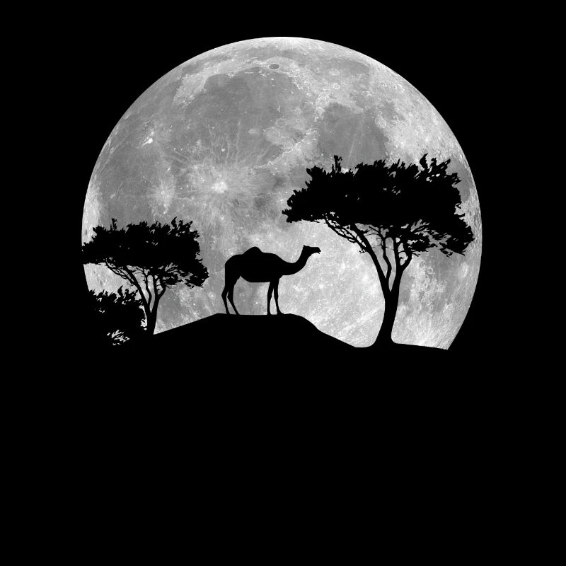 Camel At Night