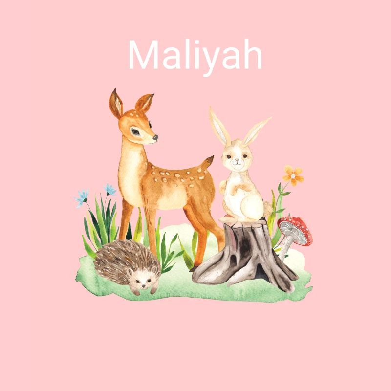 Animal deer rabbit hedgehog Maliyah
