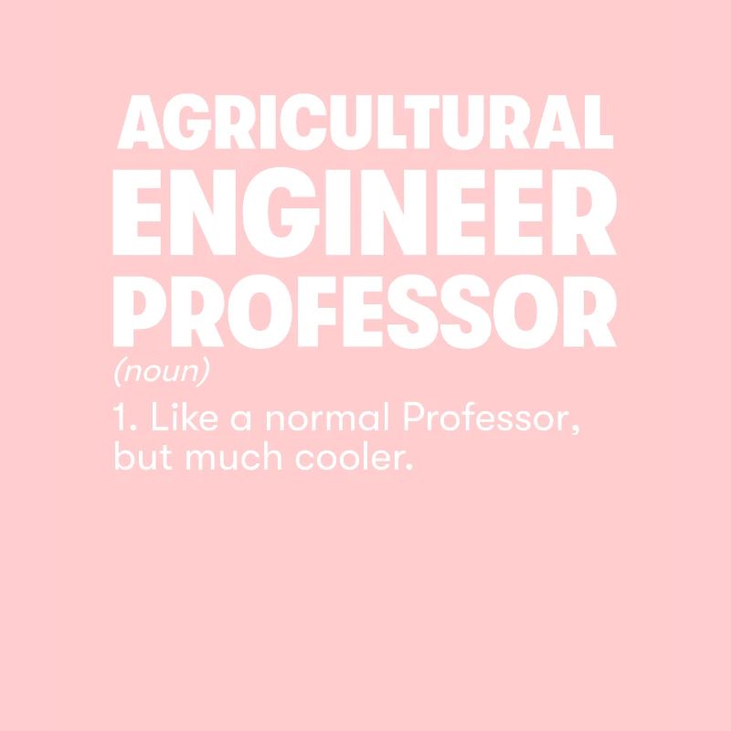 Agricultural Engineer Professor