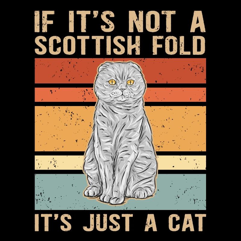 Scottish folding ear cat | Scottish Fold Gift