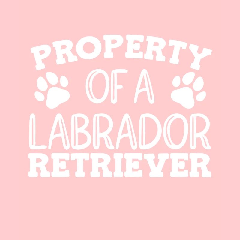 Labrador Hunde