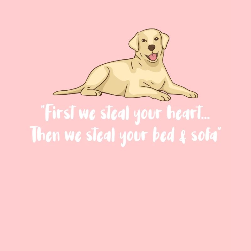 Labrador Hunde