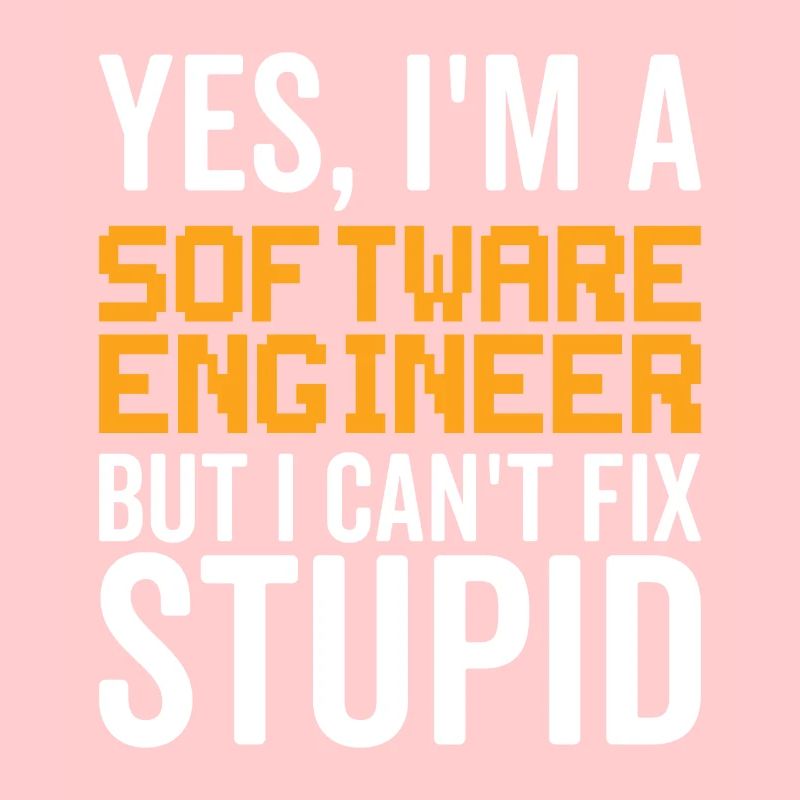 Dummes Software -Ingenieur