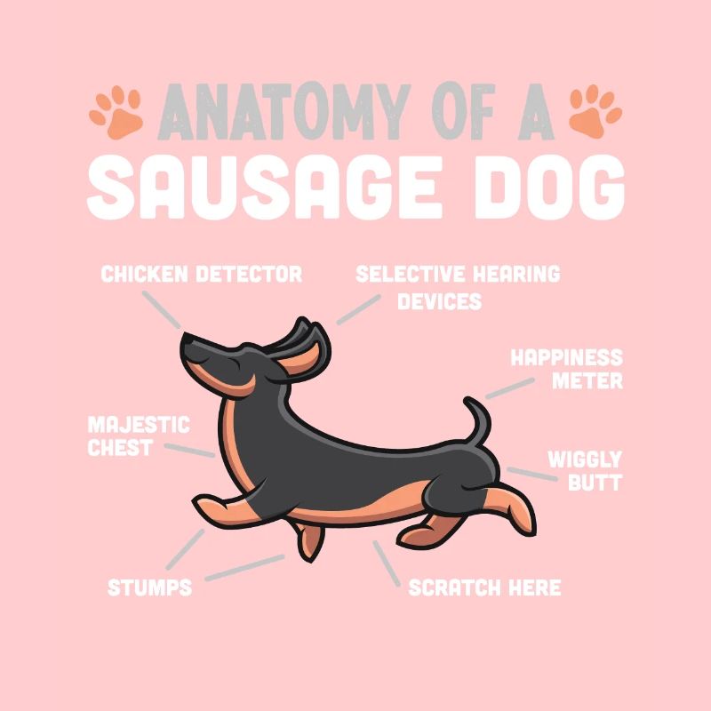 Anatomie eines Wursthundes lustiges Dackelgeschenk