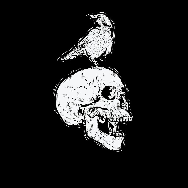 Crow on a bone skull raven bird