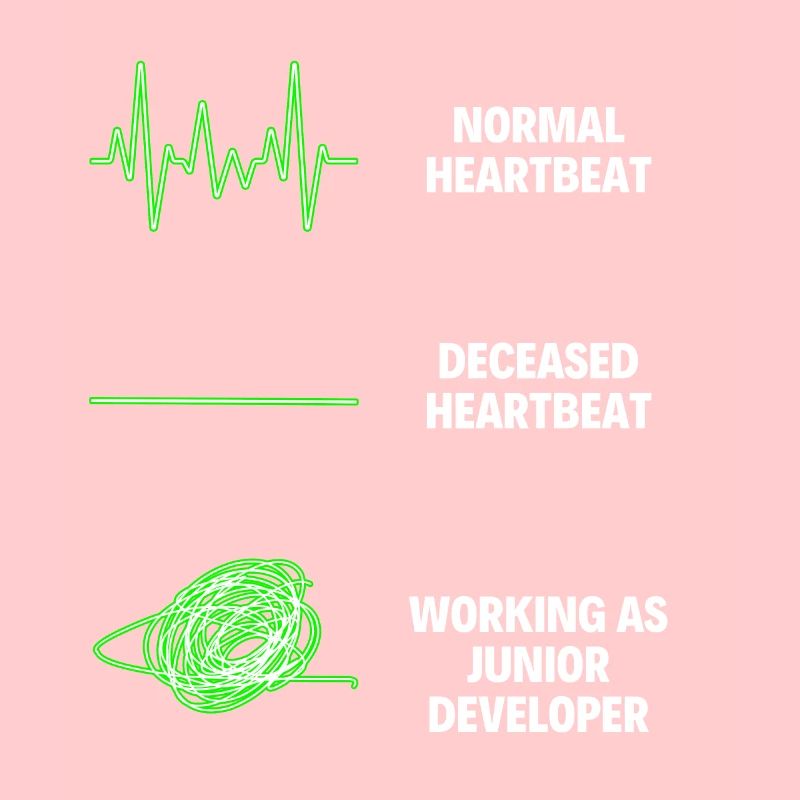 Junior Developer Professional Worker