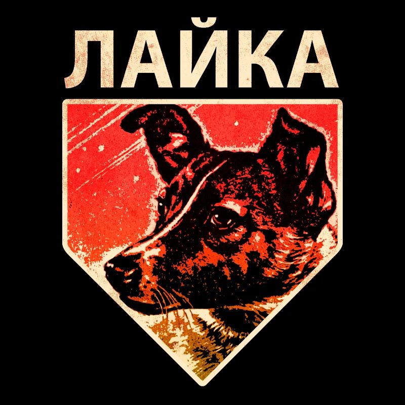 Laika - Cane spaziale sovietico