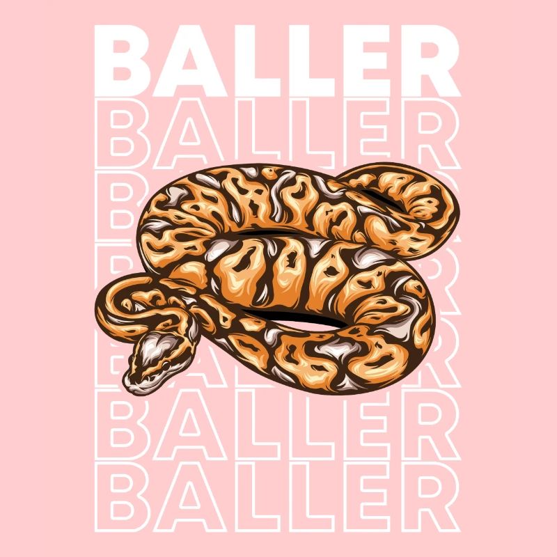 Ball Python 80's Style Baller Royal Python Snake