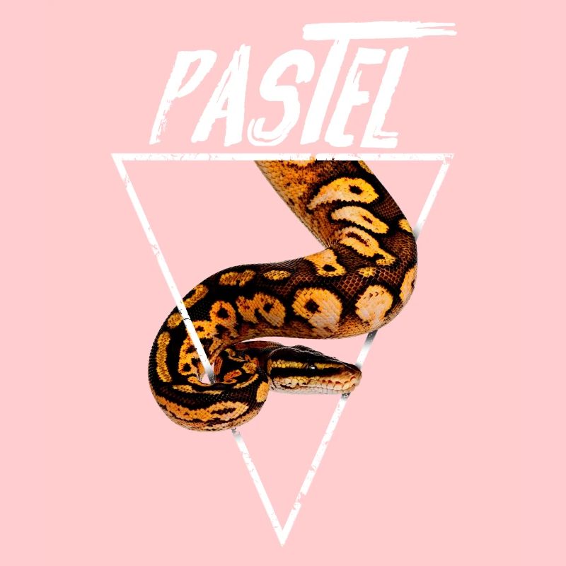 Pastel Ball Python Besitzer