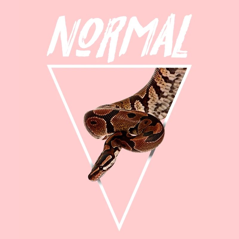 Normaler Ball Python Morph Schlange Besitzer