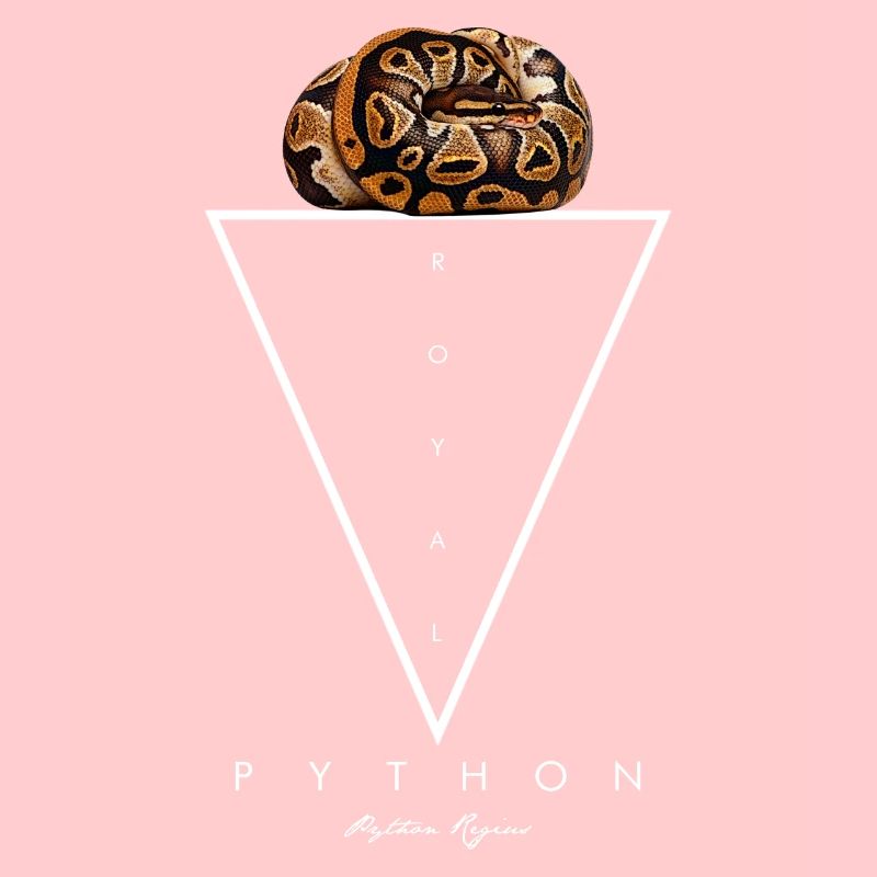 Royal Python Geometric Modern Snake Keeper