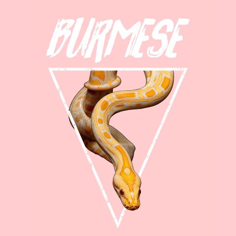 Propriétaire de serpent Python birman