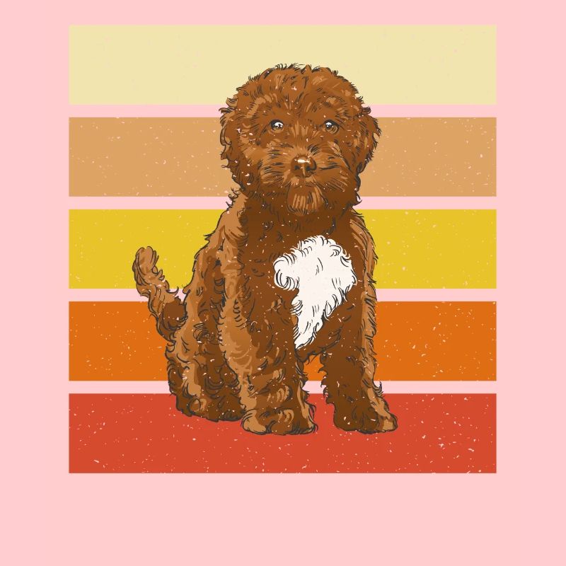 Retro clothing for Cockapoo