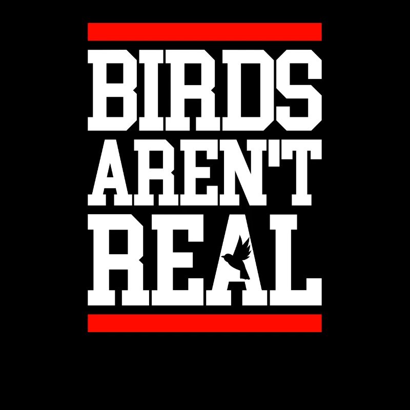 Birds aren't real Demonstration