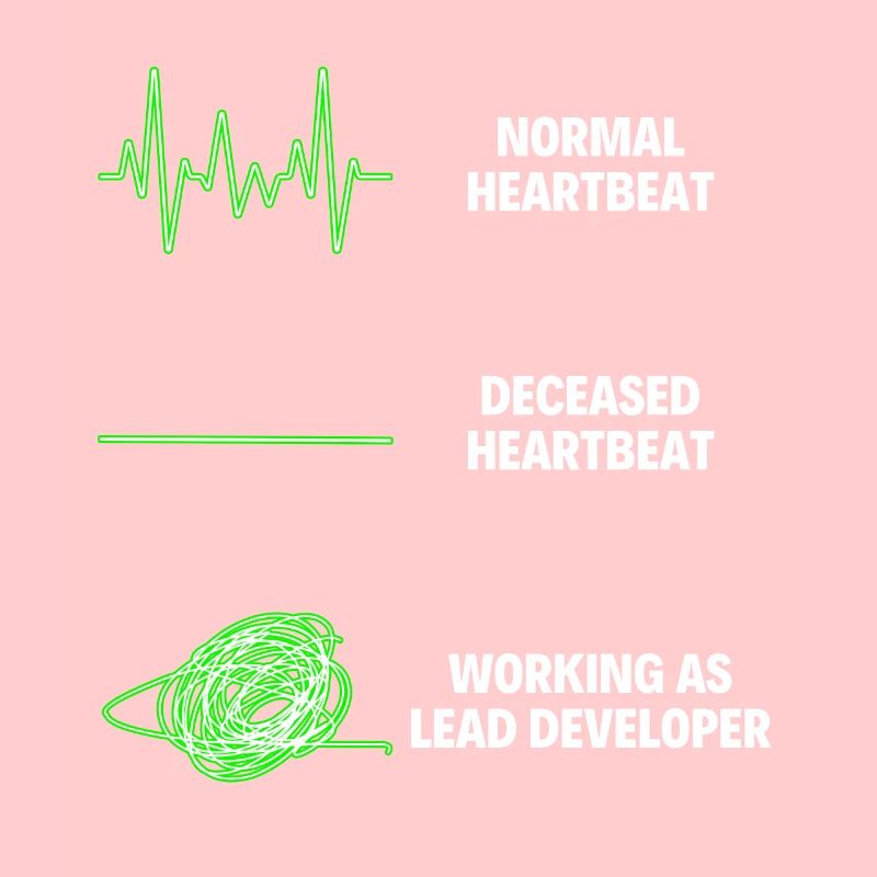 Lead Developer Funny Web Developer Work