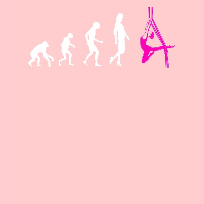 Aerial Silk Evolution - Acrobatics Gymnastics