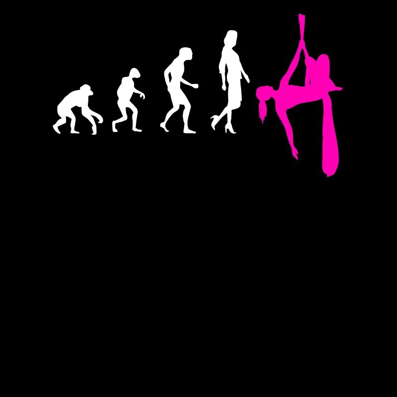 Aerial Silk Evolution - Aerial Circus