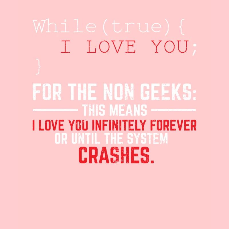 Funny Geek Lover Software Engineer Programmer Deve