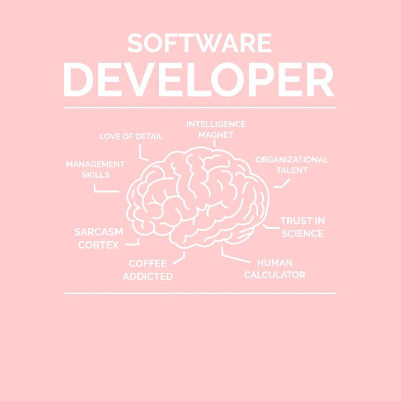 Software Developer