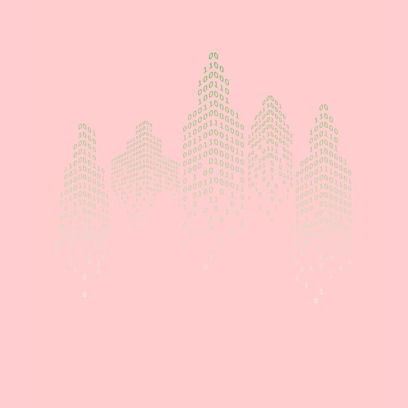 Binary City Computer Scientist Hack Coder