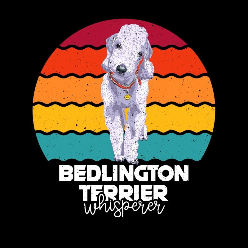 Bedlington Terrier