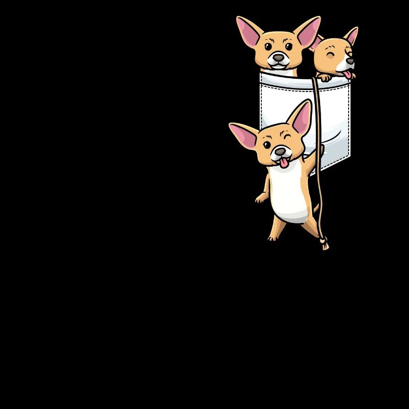 Chiweenie Chien