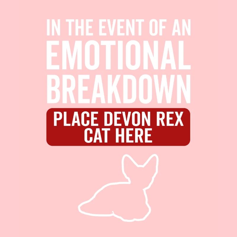 Émotionnel - Devon Rex Cat