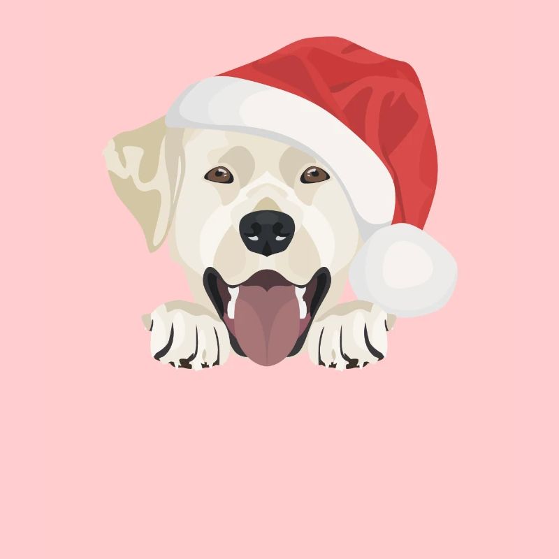 Joyeux Noël Labrador