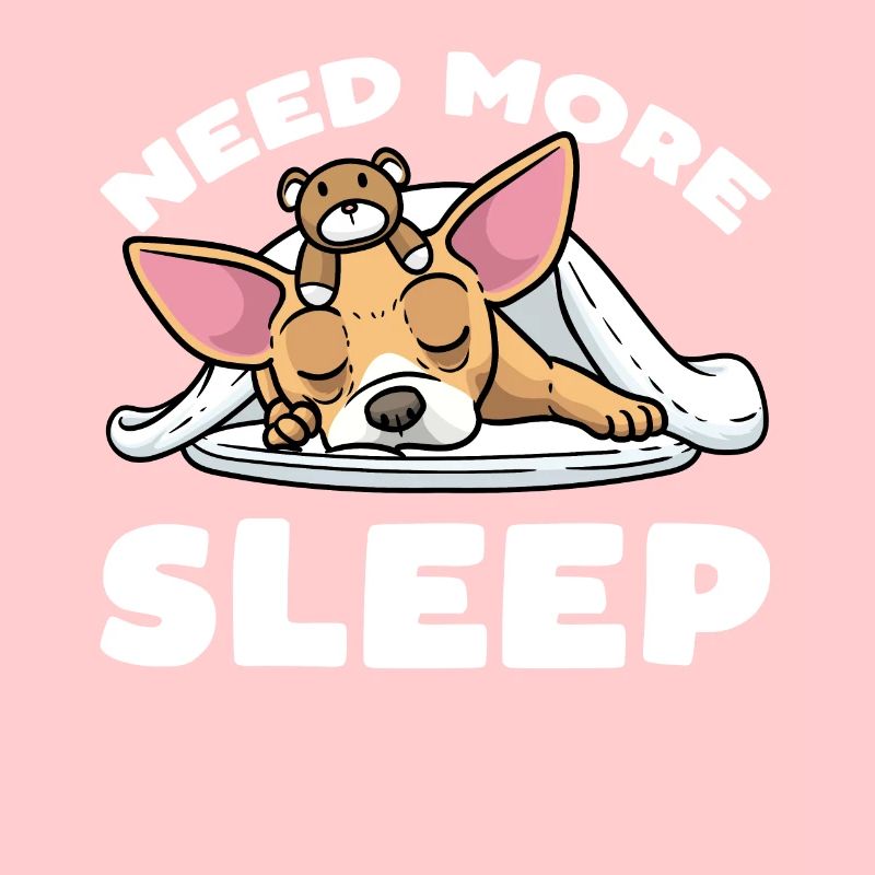 Chiweenie dog with cuddly toy sleeping slumber
