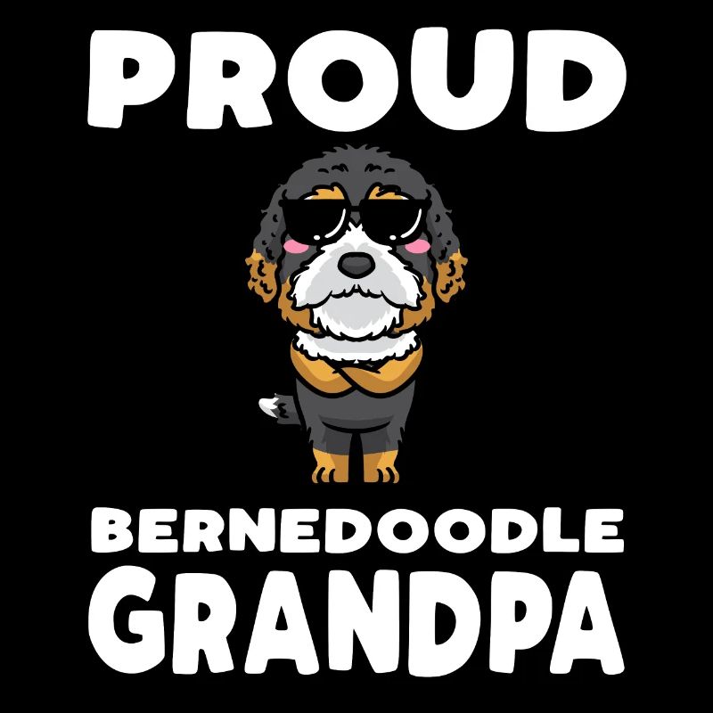Bernedoodle Hund